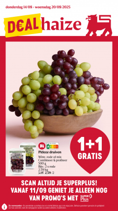 Delhaize